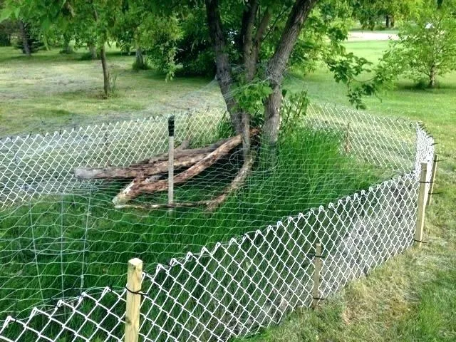 Storm Damaged Fence in Fresno: What to Do and Who Pays